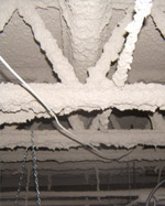Asbestos Management